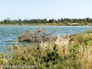 Lake of salt