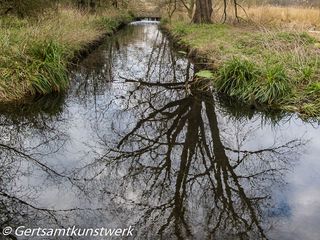 Reflection