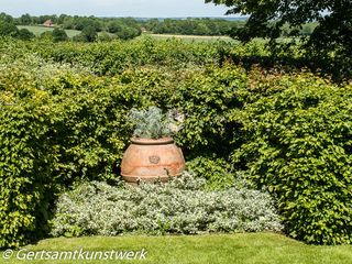 Terracotta pot