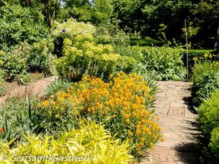 Shades of yellow