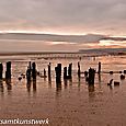 Winchelsea Beach