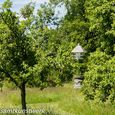 Beehive in meadow