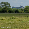 Castle view