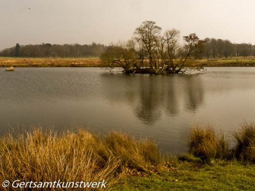 Early spring Pond island March