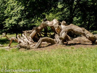 Gnarled June