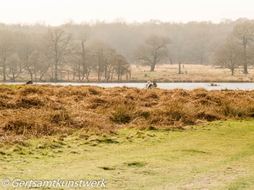Cyclists at Pen Ponds March Cyclists at Pen Ponds March