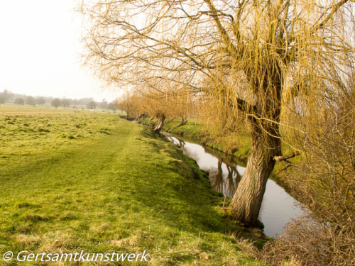 Beverley Brook March Beverley Brook March