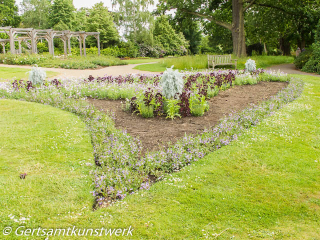 Neglected flower bed June