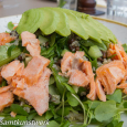 Rainbow trout, quinoa, lentils, cucumber, avocado