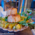 Scallops and mango salasa