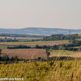 View over the Downs