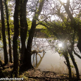 Royal Military Canal