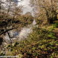 Winter canal