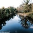 Wintry canal