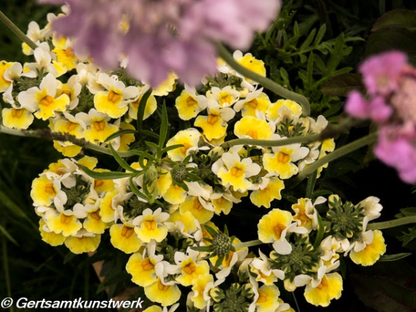 Gertsamtkunstwerk: May Garden