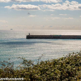 Harbour Arm