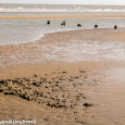 Broken breakwater