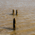 Old breakwater