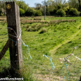 Footpath  blocked