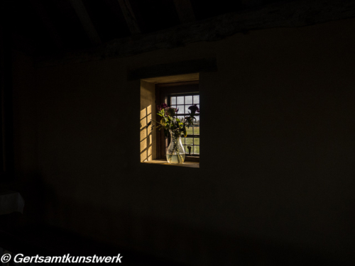 Flowers in the window