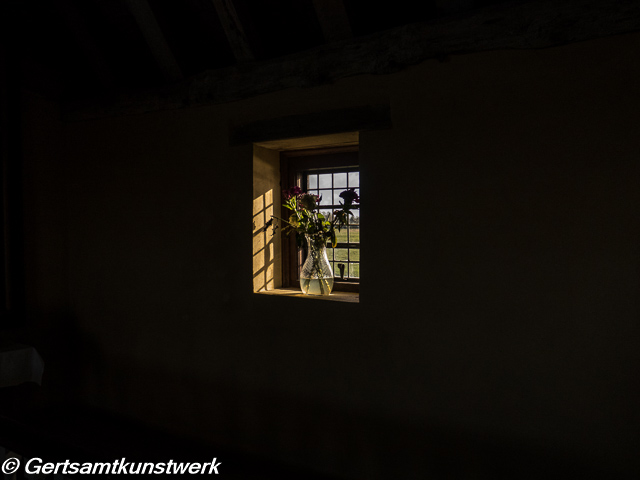 Flowers in the window