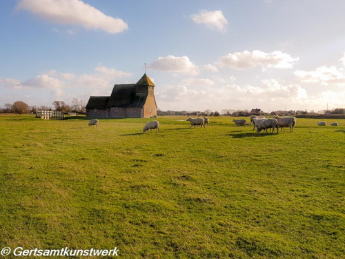 Church and sheep Church and sheep