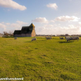 Church and sheep