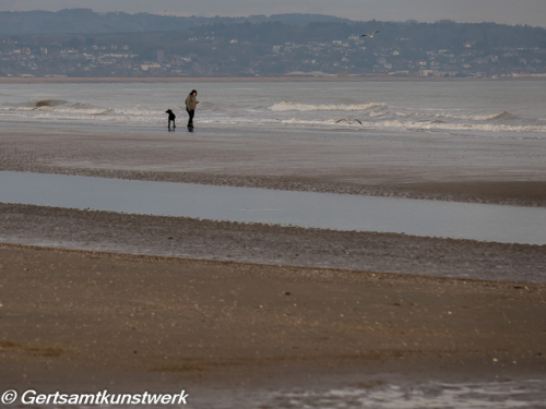 Beach. people 