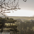 Lympne view