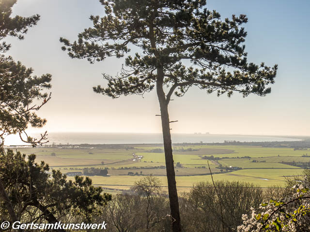 Tree view