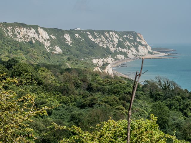 White Cliffs