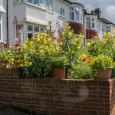 Garden flowers