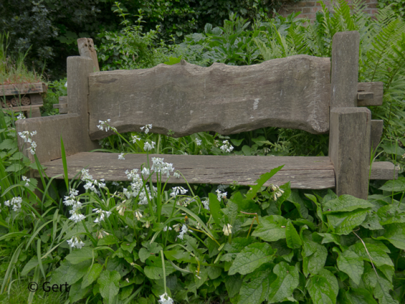 Bench in Faversham