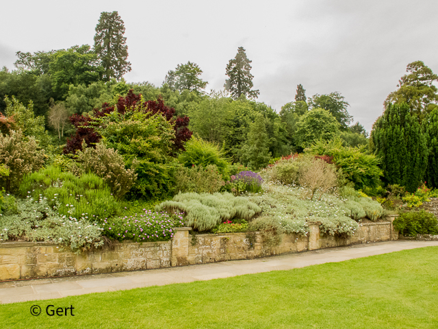 Garden wall