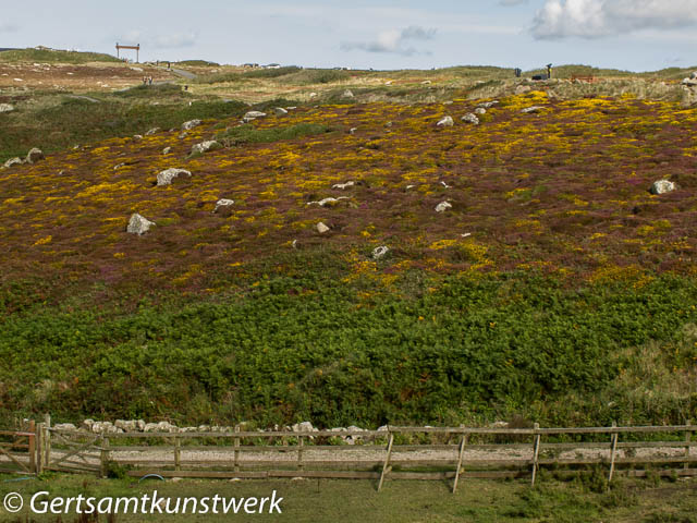 Craggy moor