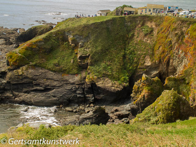 Lizard Point