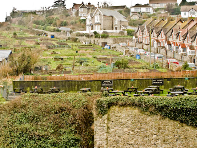 Beer garden