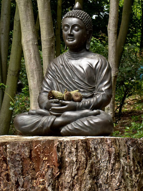 Buddha