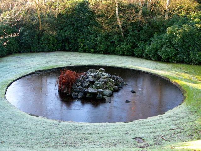 Frozen Pond