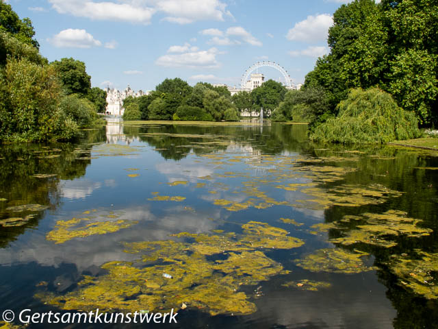 View from St James's Park