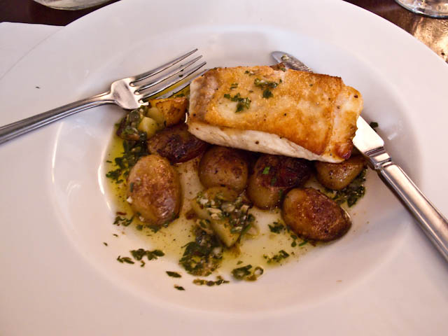 Halibut