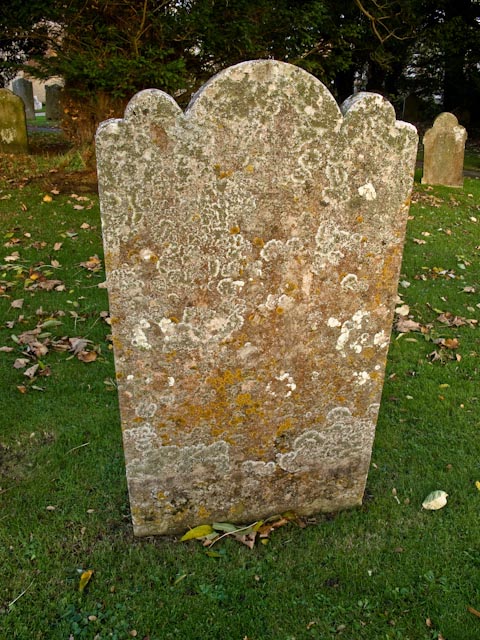 Lichen on gravestone