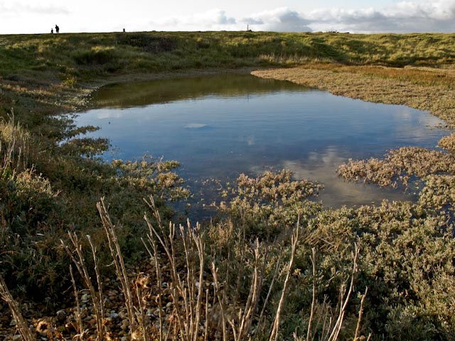 Mudflat lagoon