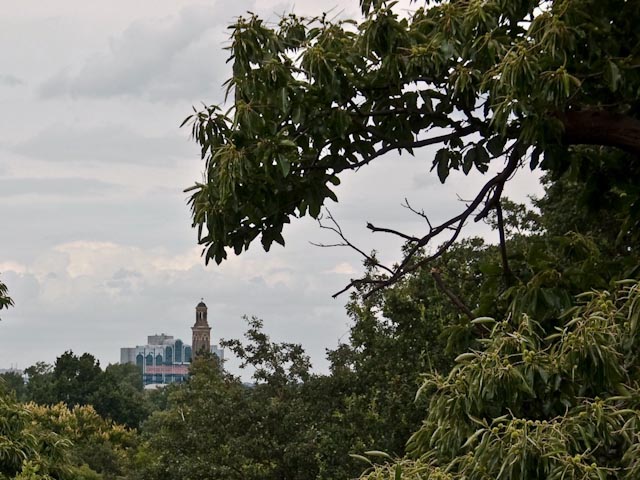 Hammersmith View