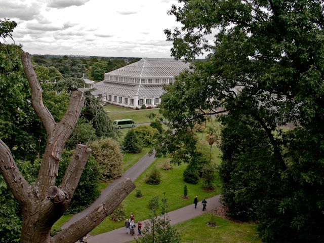 Palm House View