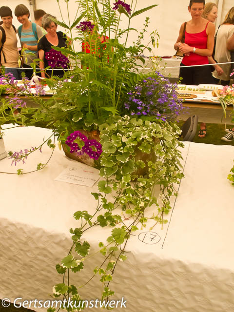 Plants display in a trough