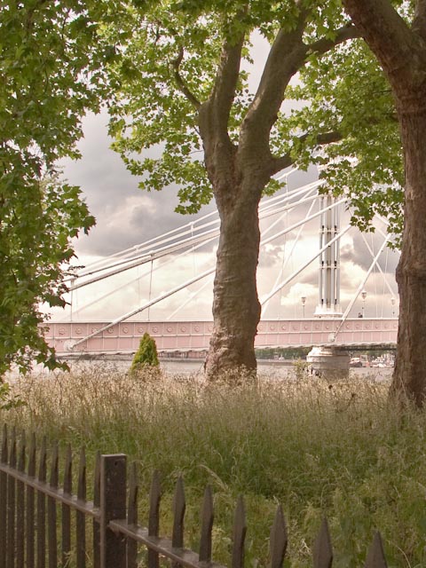 Albert Bridge