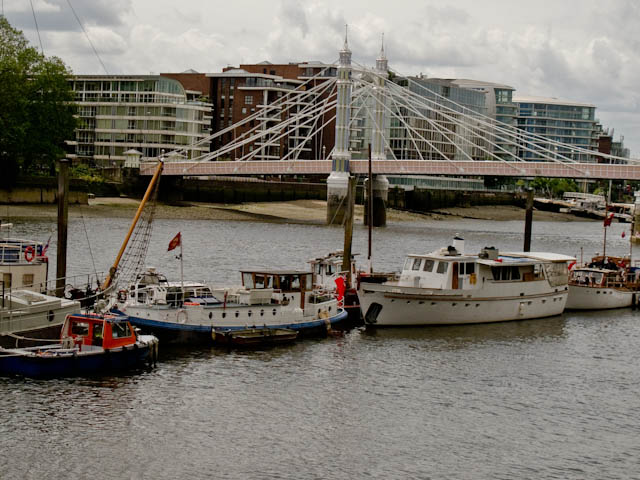 Albert Bridge moorings