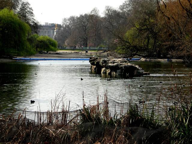 Buckingham Palace