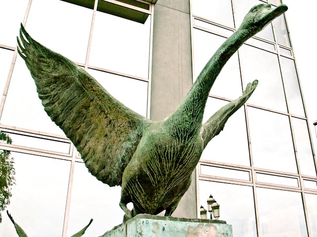 Swan Statue